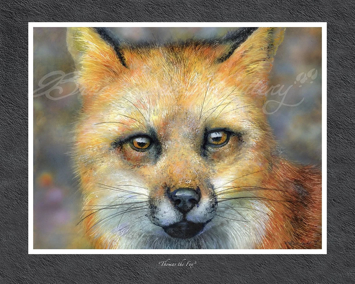Thomas the Fox