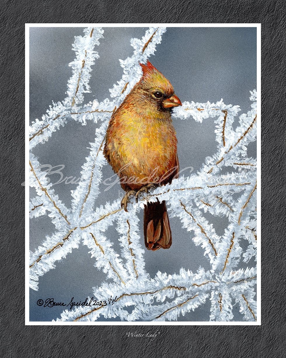 Winter Lady
