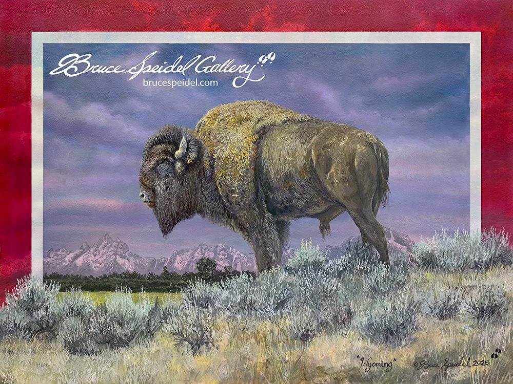 Wyoming