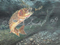 Yellowstone Originals