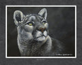 Your Lion Eyes
