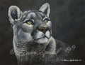 Your Lion Eyes